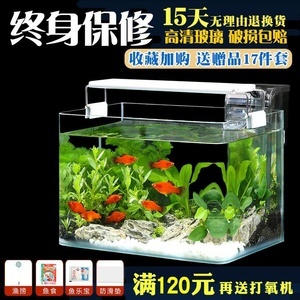 超白草缸 打造水底綠洲，從精選魚(yú)缸與寵物配件開(kāi)始